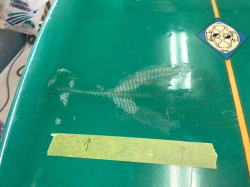 �I�[�o�[�z�[�� �X�e�B�[�u���Y 6_4